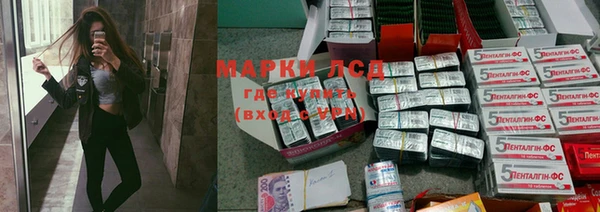 стафф Арсеньев