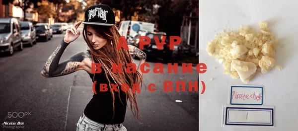 стафф Арсеньев