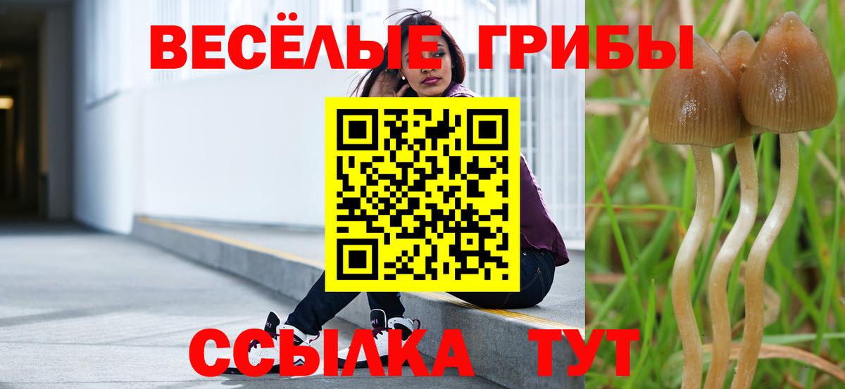 Галлюциногенные грибы Psilocybine cubensis  Вход с VPN  Псилоцибиновые грибы мицелий  Верхняя Салда 